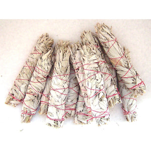Turquoise Cloud - White Sage Wands, Large 9"-10" in 2 Dozen