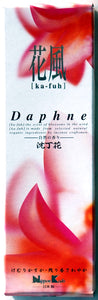 Kafuh Large - Daphne