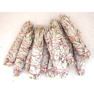 Turquoise Cloud - White Sage Wands,  Large 9"-10" in 1 Dozen
