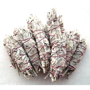 Turquoise Cloud - White Sage Wands, Small 5"-6" in 2 dozen
