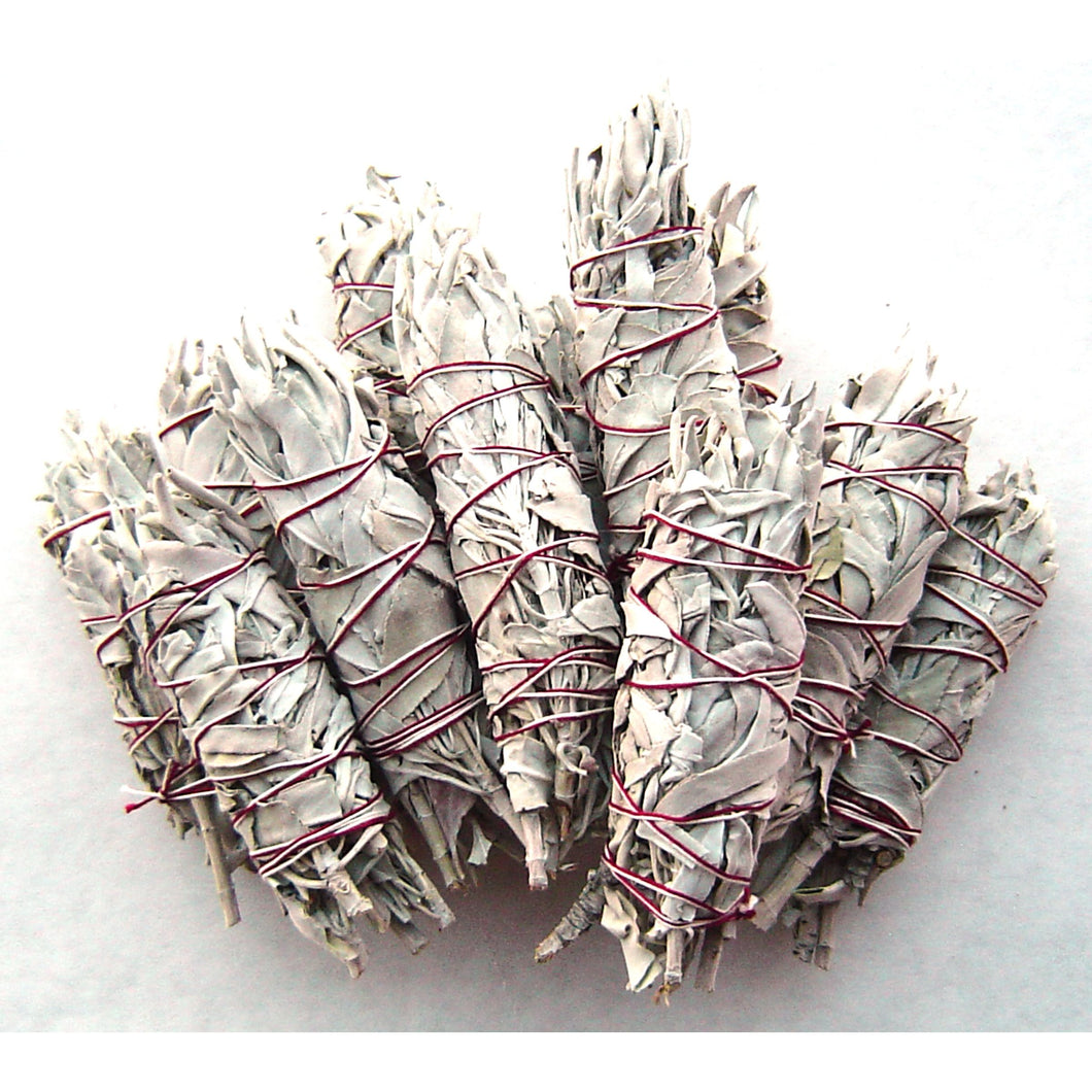 Turquoise Cloud - White Sage Wands, Small 5